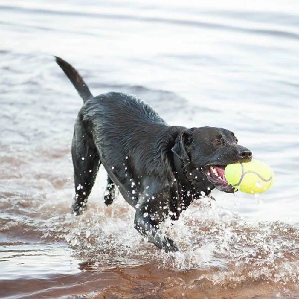 Airdog Squeaker Football ASFB3