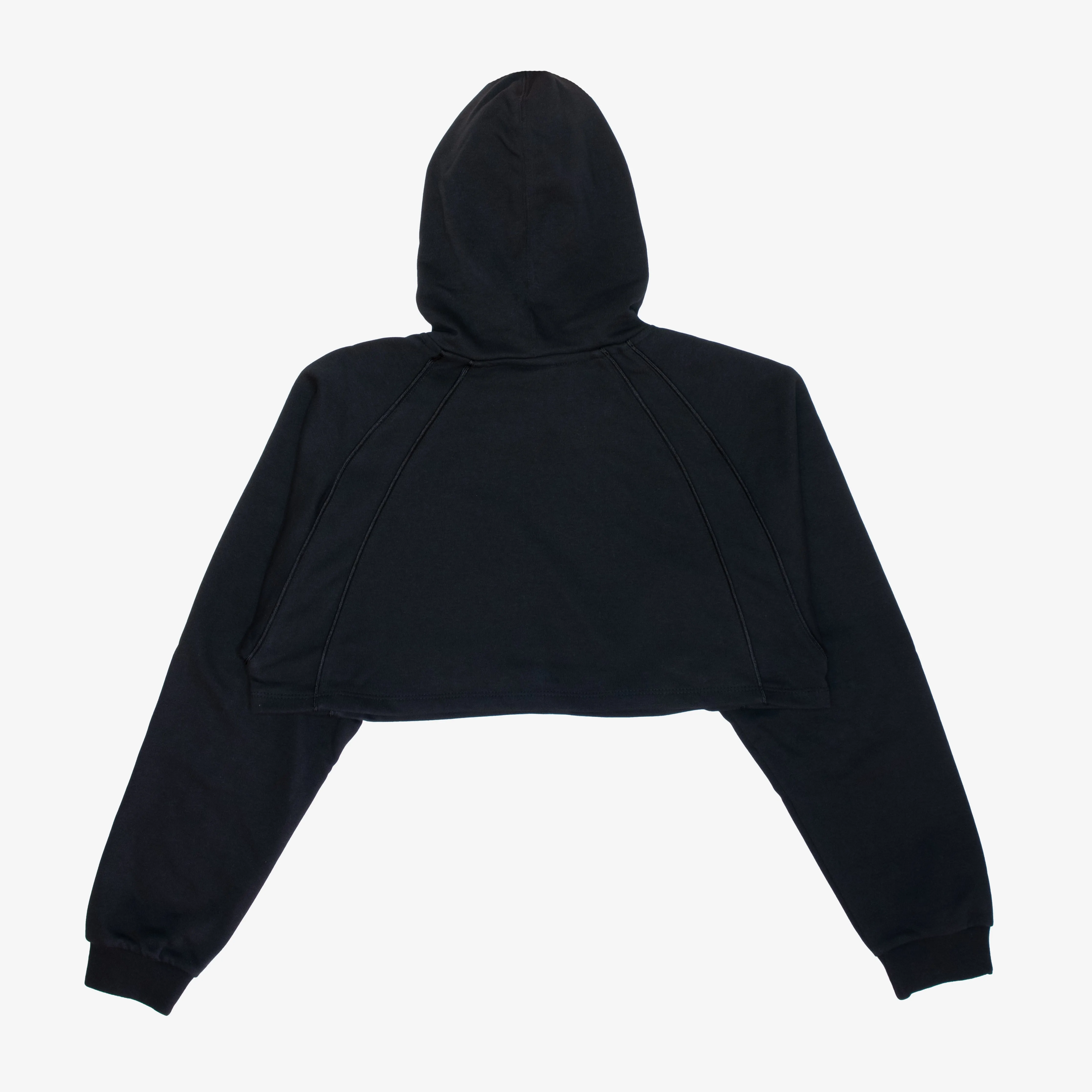 Jordan Sport Fleece Crop Hoodie Wmns