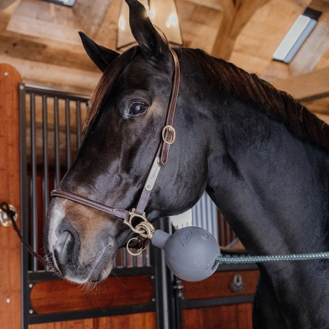 Kentucky Horsewear Rubber Ball Lead and Wall Protector - Grey