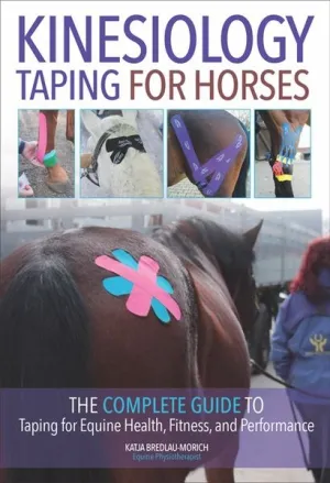 Kinesiology Taping for Horses