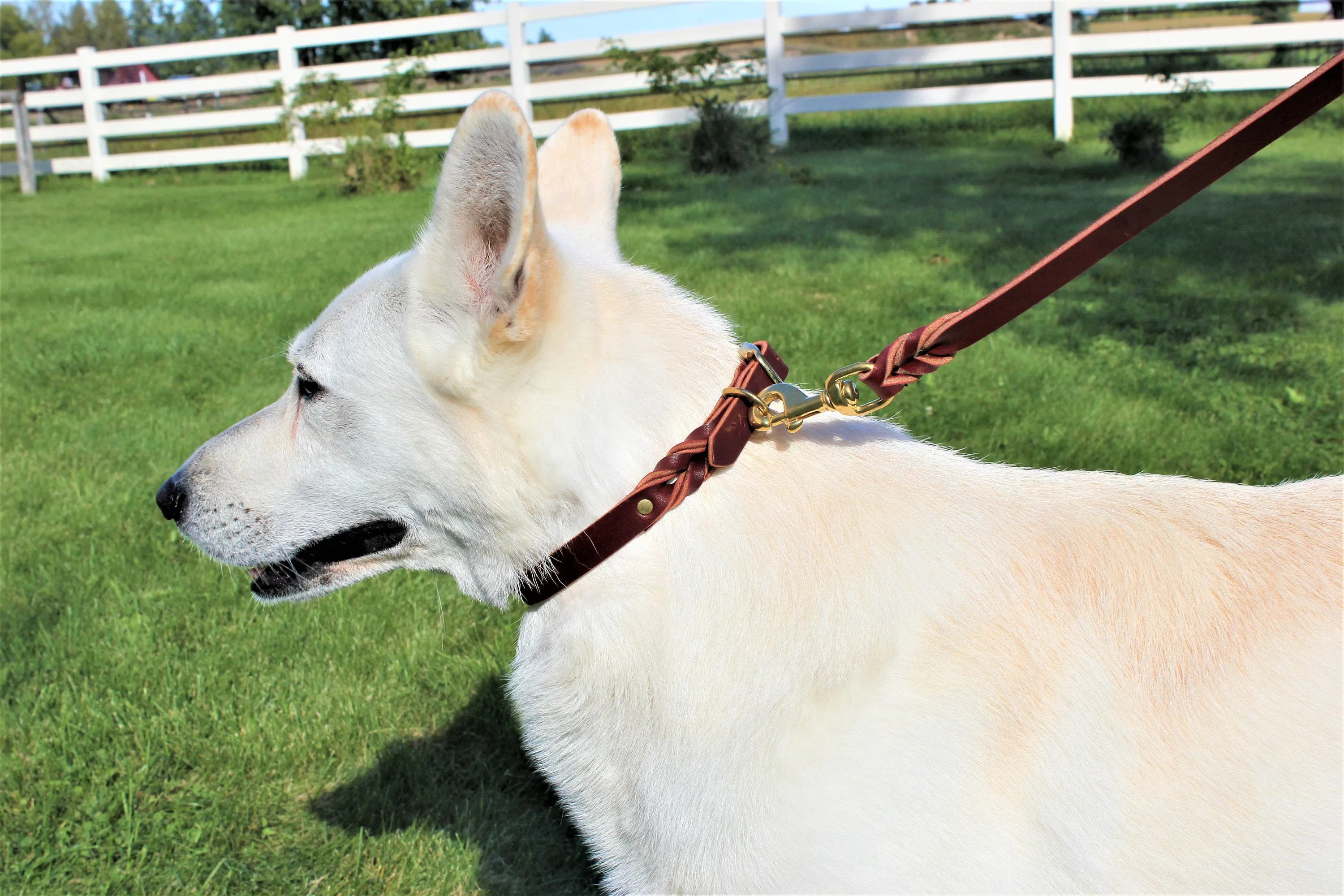 Latigo Leather Leashes 8'