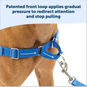 PetSafe Easy Walk Dog Harness Blue