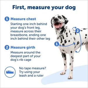 PetSafe Easy Walk Dog Harness Blue