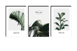 SAF paintings 6MM MDF Banana Leaf and Palm Leaf and Loquat laef in Nature Self Adeshive Painting (12 Inch X 18 Inch Each Painting, Self Installation, Multi-Effect, UV Textured) AANFSXA035