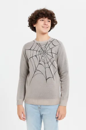 Senior Boys Beige Spider Jacquard Pullover