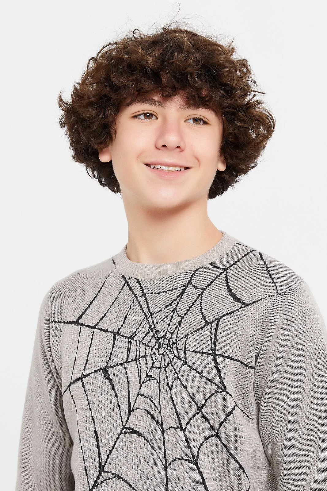 Senior Boys Beige Spider Jacquard Pullover