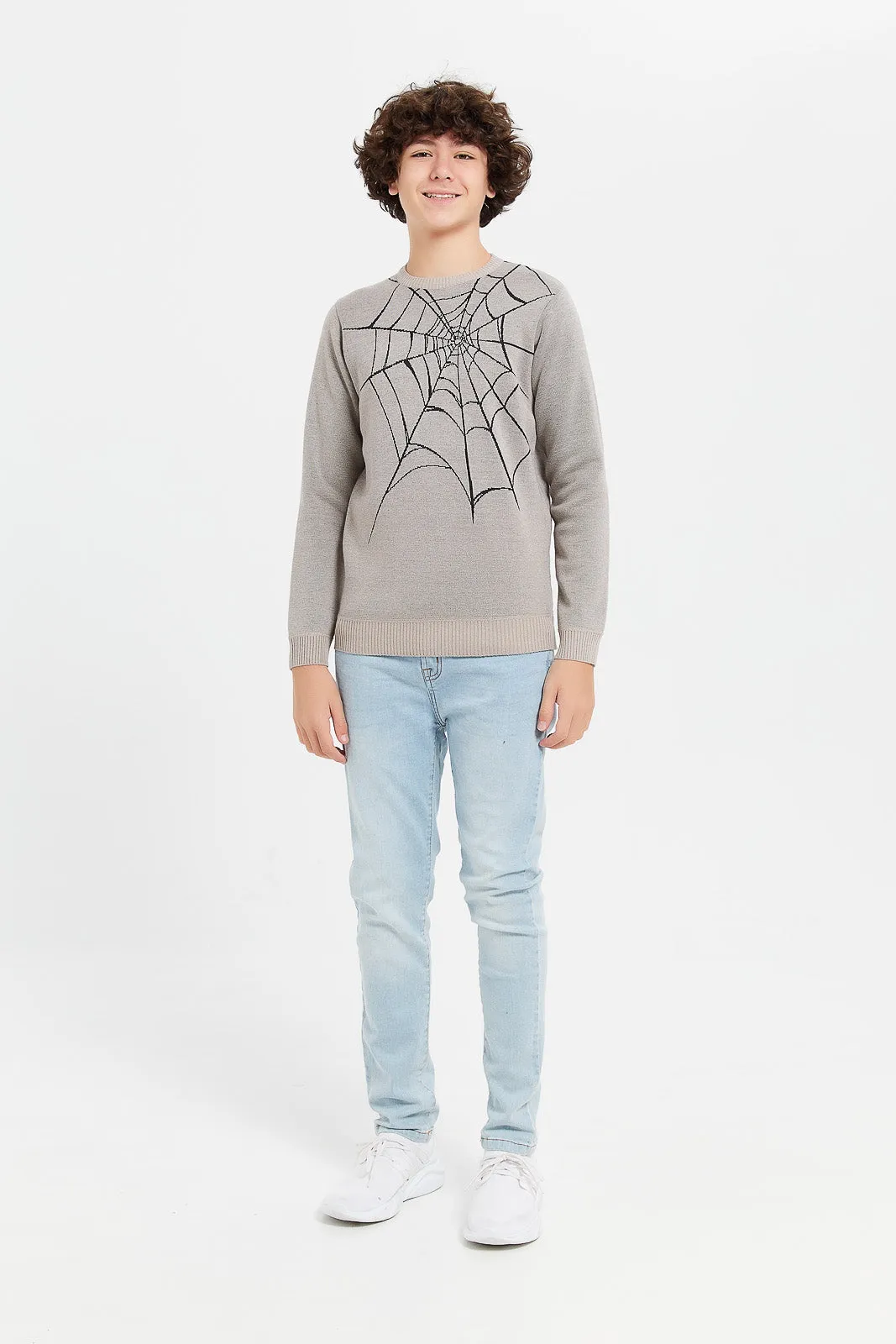 Senior Boys Beige Spider Jacquard Pullover