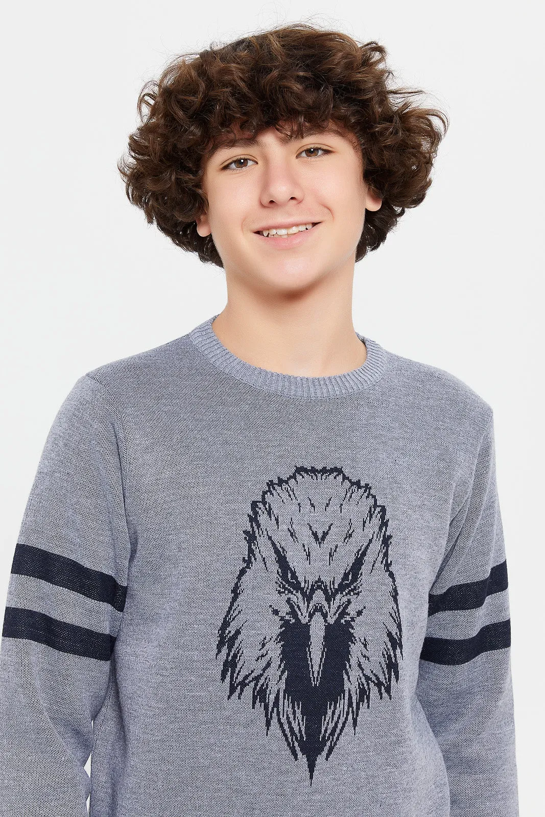 Senior Boys Grey Bird Jacquard Pullover