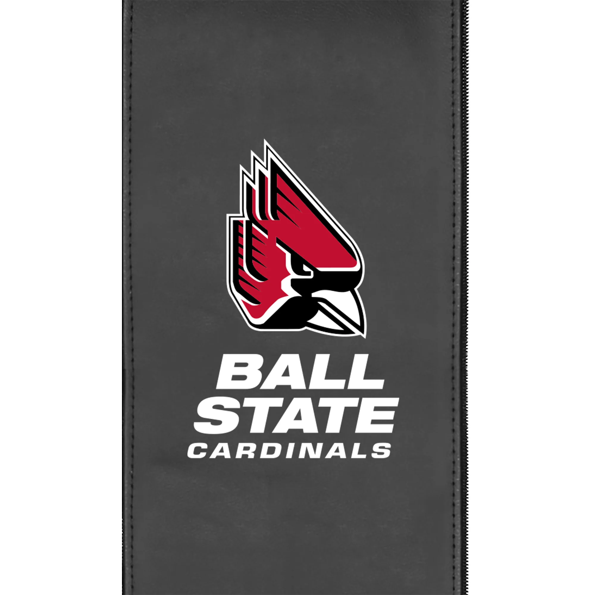 SuiteMax 3.5 VIP Seats with Ball State Cardinals Logo