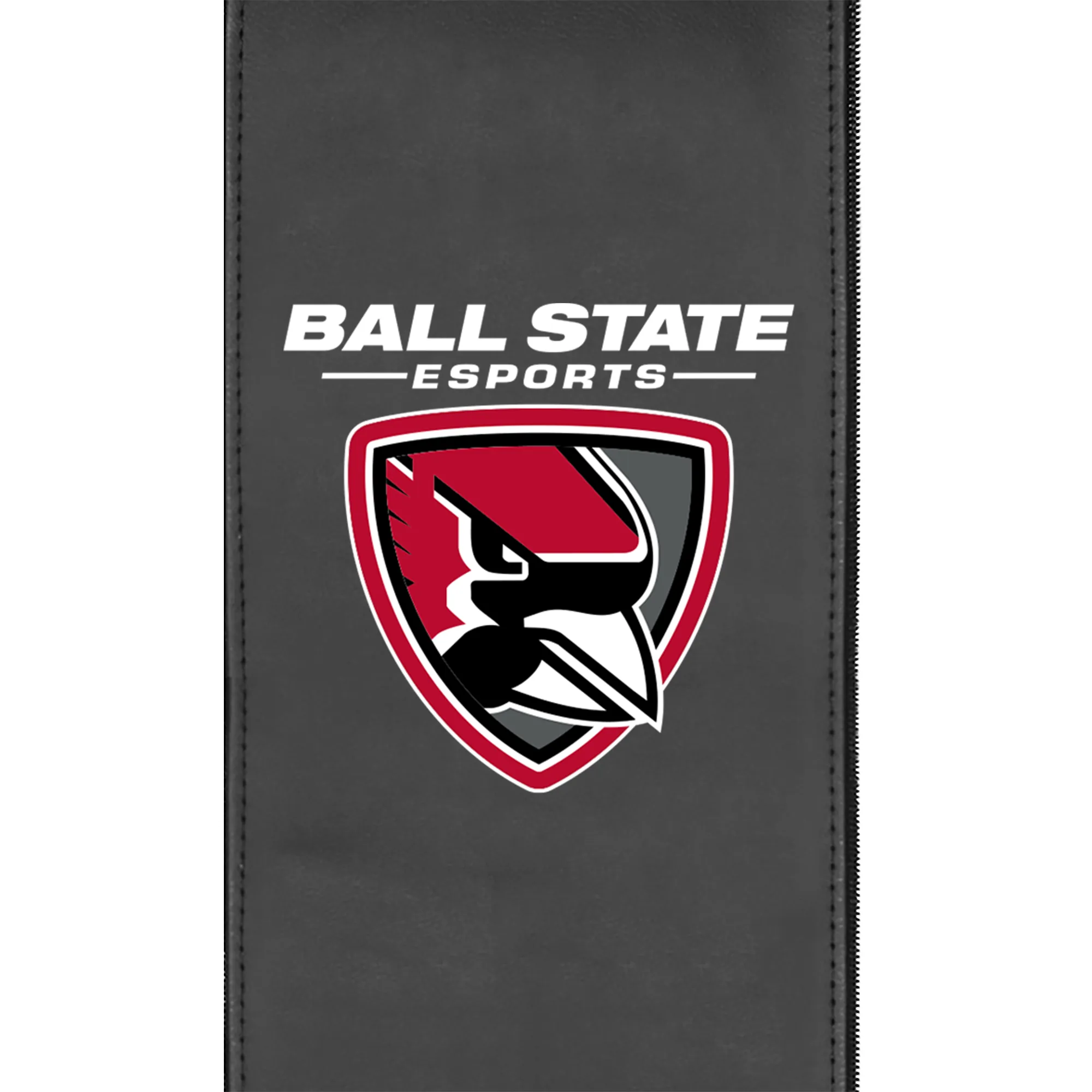 SuiteMax 3.5 VIP Seats with Ball State Esports Logo