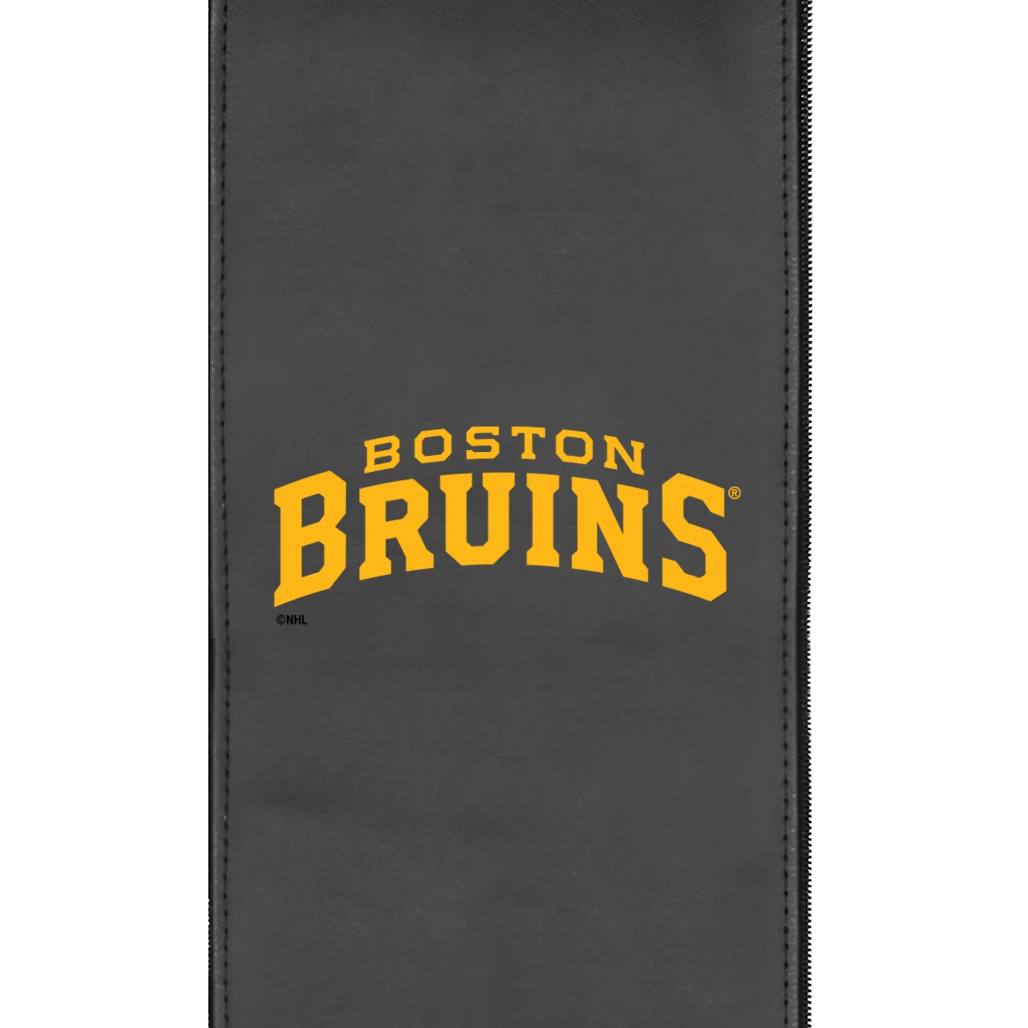 SuiteMax 3.5 VIP Seats with Boston Bruins Wordmark Logo